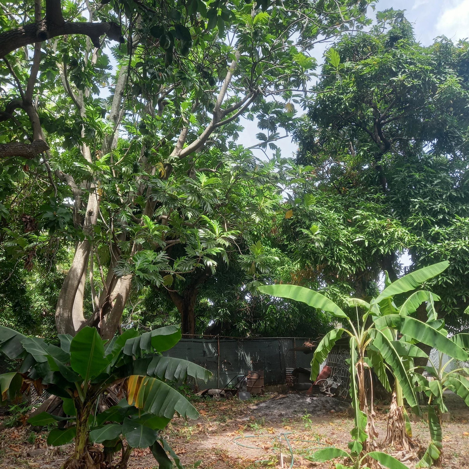 Sixteenth image of 102 Havendale Drive in Kingston 19, St. Andrew, Jamaica - property is For Sale