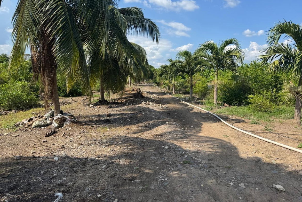 Fourth image of Rhymesbury York Town in Rhymesbury, Clarendon, Jamaica - property is For Sale