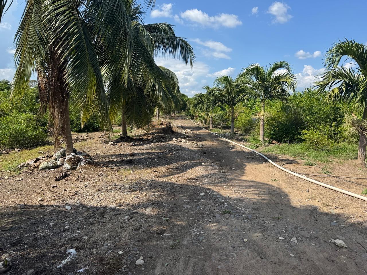 Fourth image of Rhymesbury York Town in Rhymesbury, Clarendon, Jamaica - property is For Sale