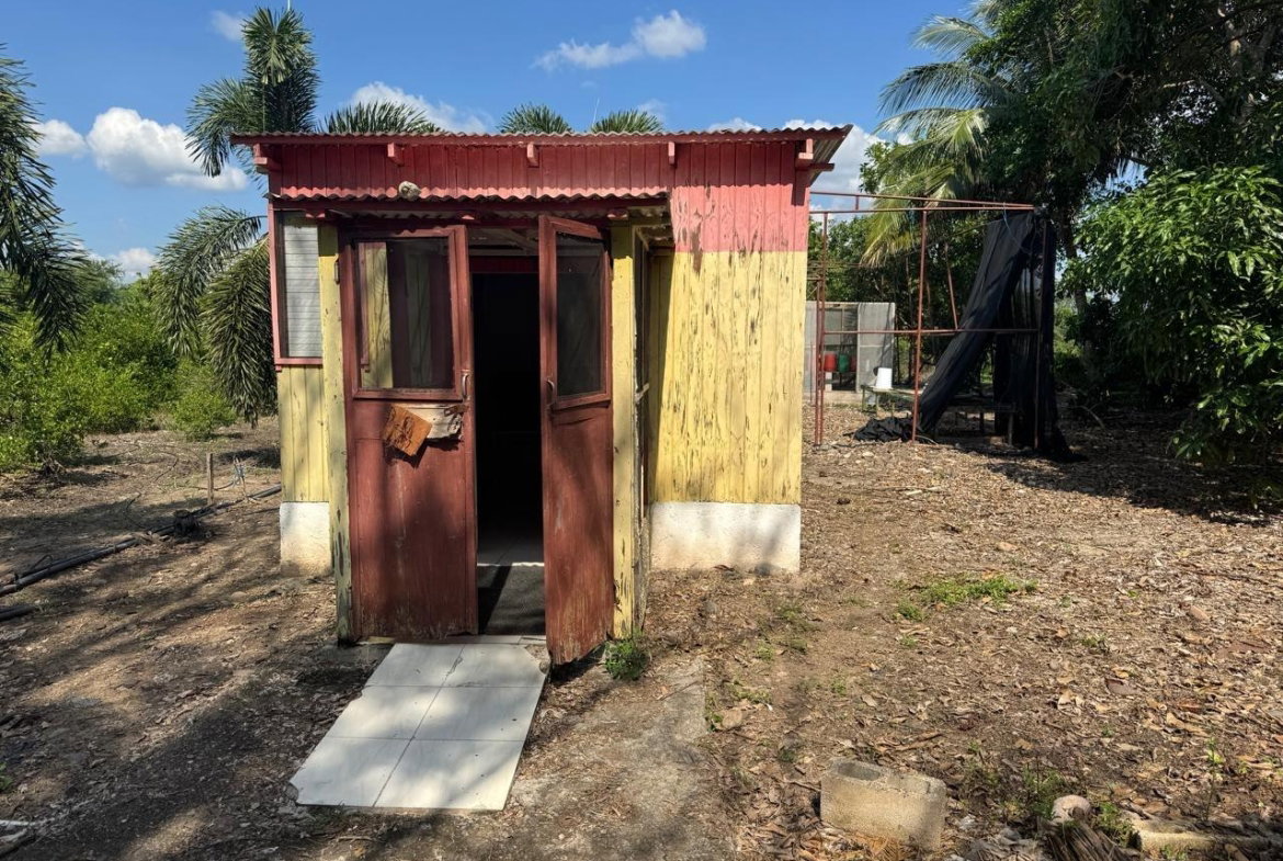 Seventh image of Rhymesbury York Town in Rhymesbury, Clarendon, Jamaica - property is For Sale