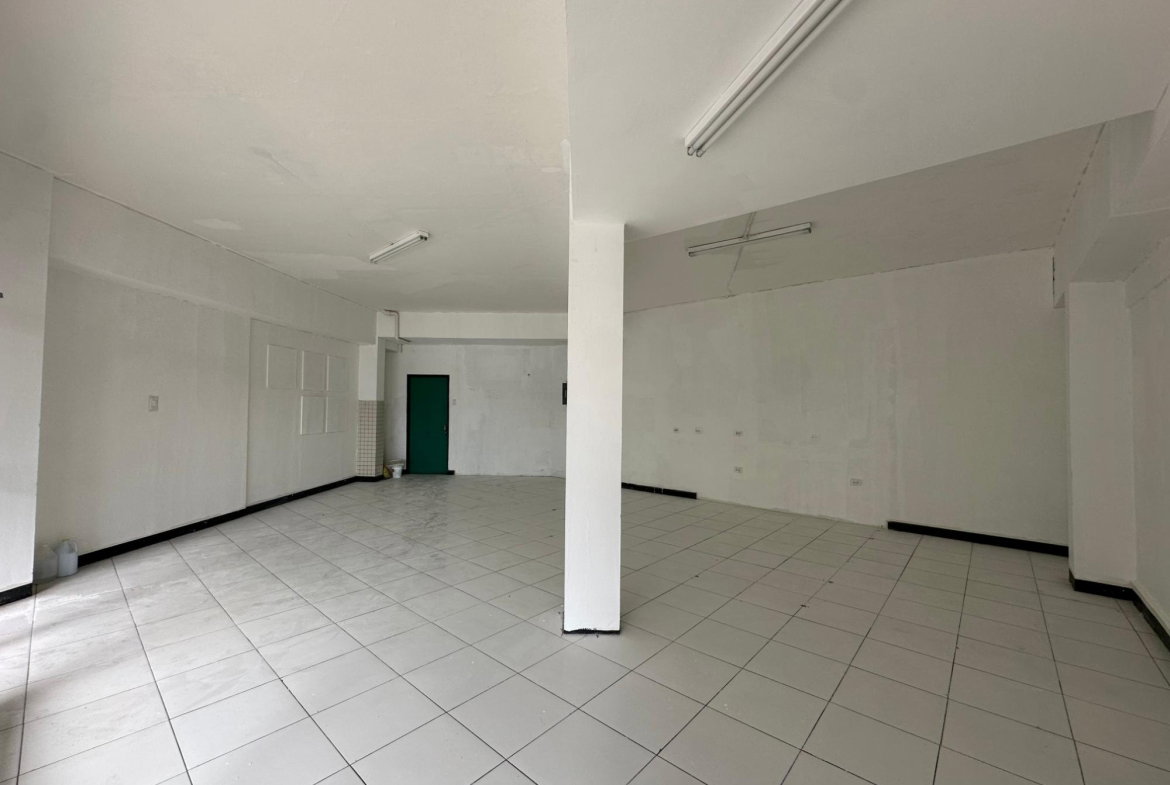 Eighth image of 10-2-4 South Avenue in Kingston 10, St. Andrew, Jamaica - property is For Rent