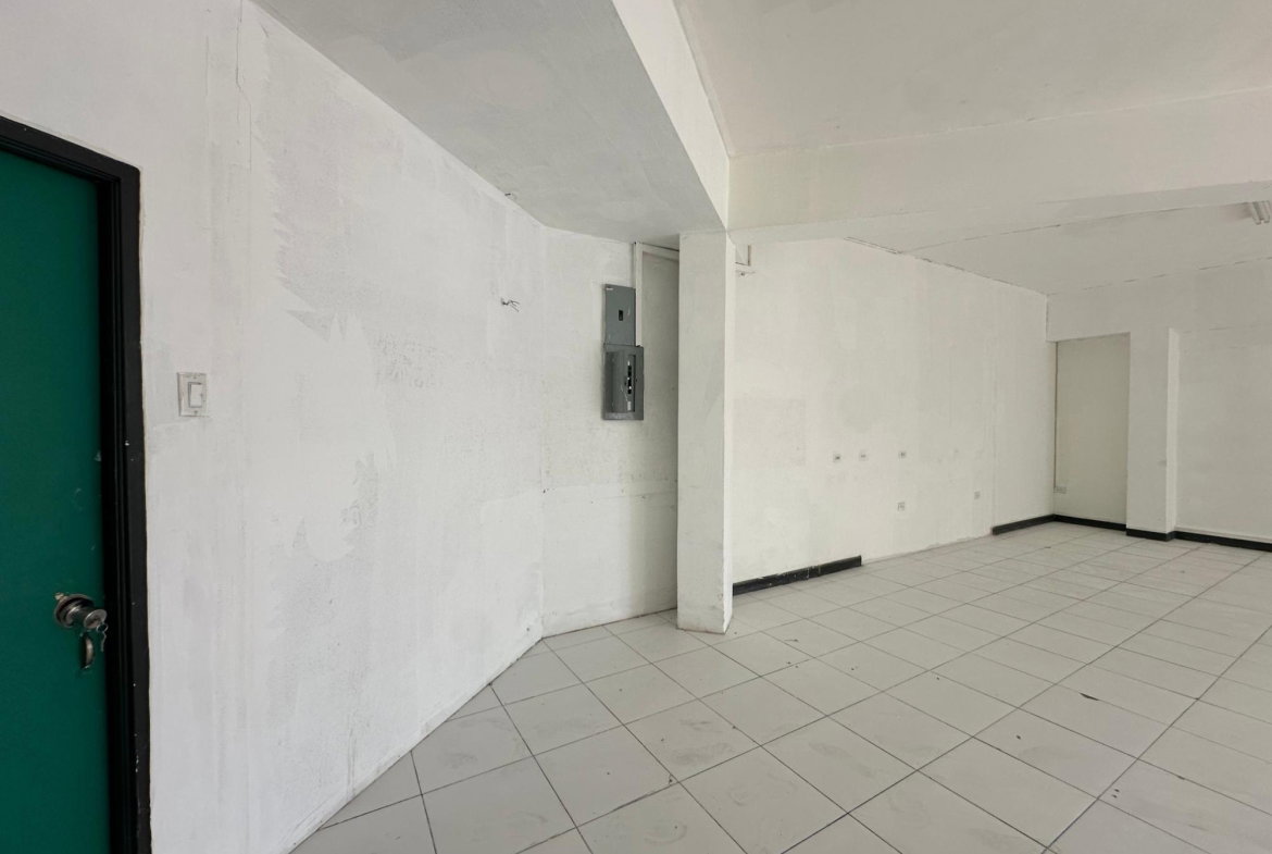 Ninth image of 10-2-4 South Avenue in Kingston 10, St. Andrew, Jamaica - property is For Rent