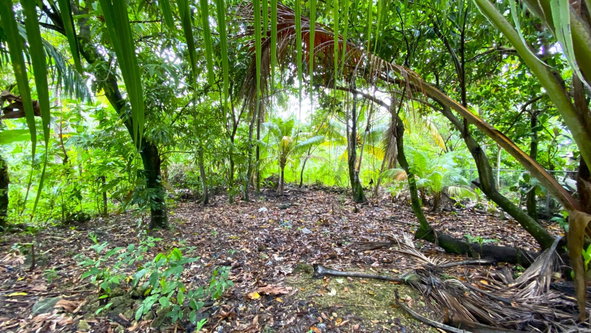 Twenty-Fourth image of 166 Hermitage Farm, Hope Bay in Hope Bay, Portland, Jamaica - property is For Rent