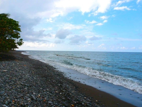 Twenty-Ninth image of 166 Hermitage Farm, Hope Bay in Hope Bay, Portland, Jamaica - property is For Rent