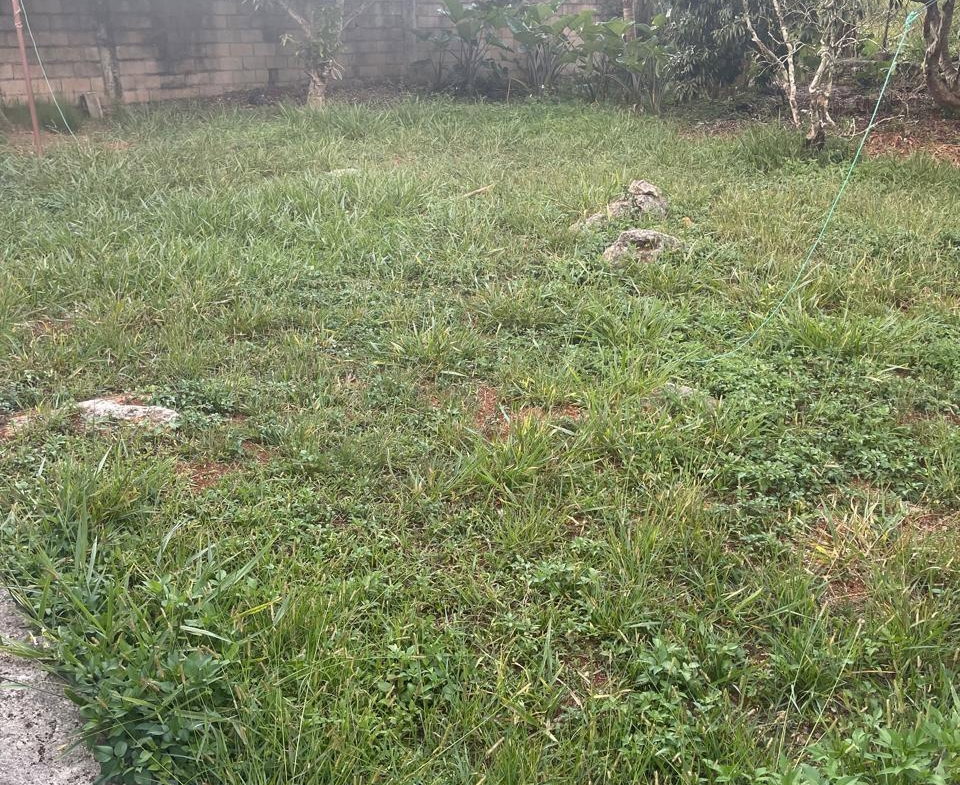 Thirtieth image of 10 West Road, Lot 4 in Mandeville, Manchester, Jamaica - property is For Sale