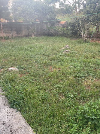 Thirtieth image of 10 West Road, Lot 4 in Mandeville, Manchester, Jamaica - property is For Sale