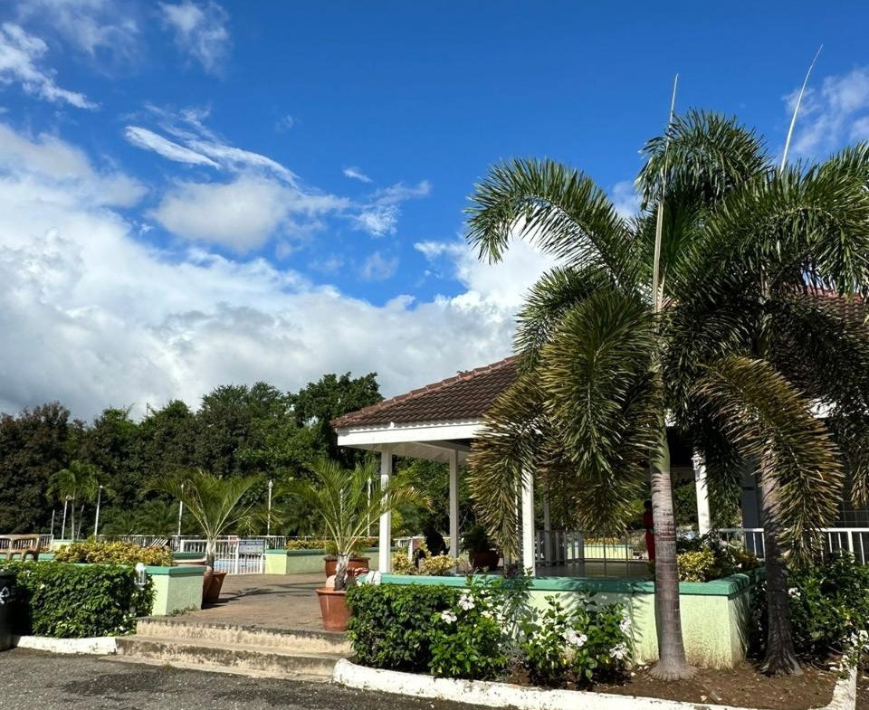 Thirtieth image of 1 Canella Place Lot 65 Long in Kingston 6, St. Andrew, Jamaica - property is For Rent