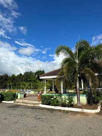 Thirtieth image of 1 Canella Place Lot 65 Long in Kingston 6, St. Andrew, Jamaica - property is For Rent
