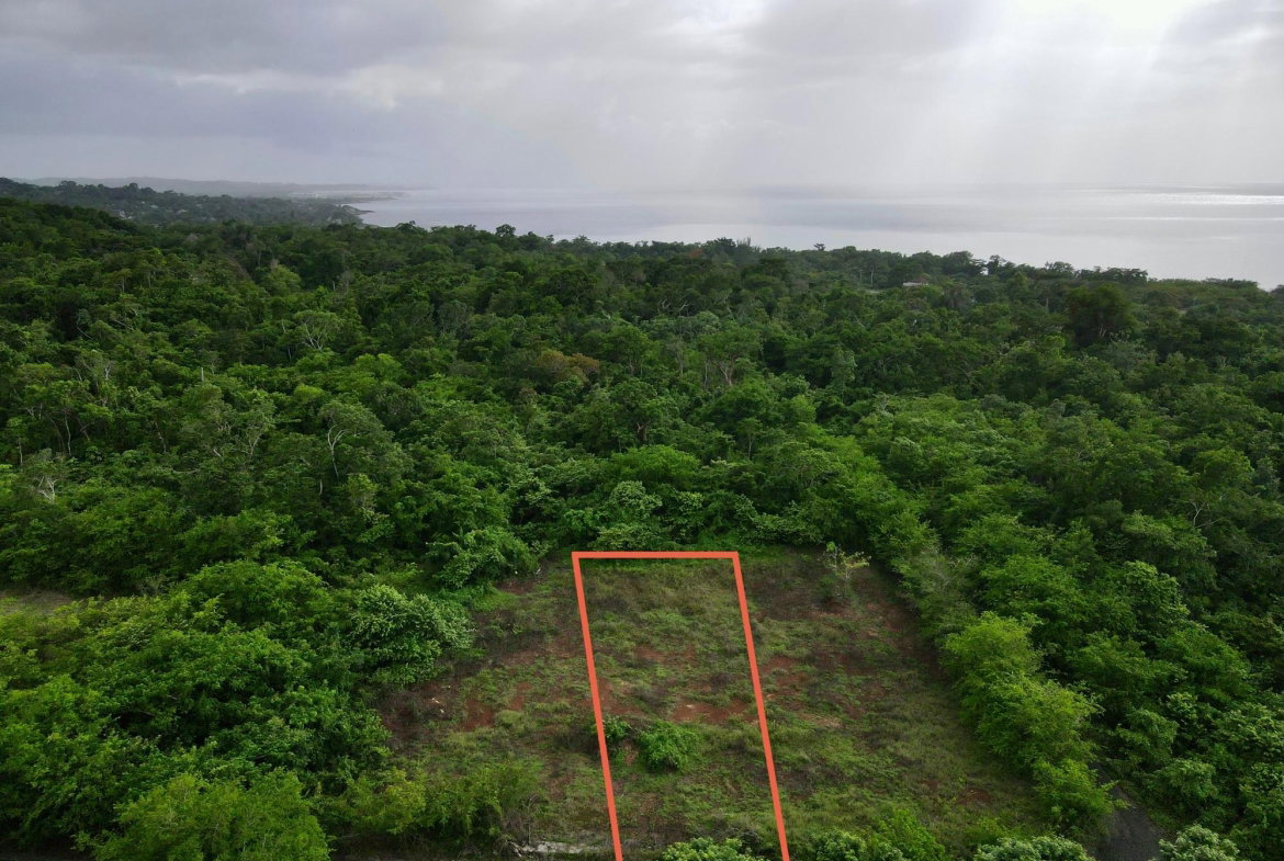 Second image of 31 Cousins Cove Plantation in Cousins Cove, Hanover, Jamaica - property is For Sale