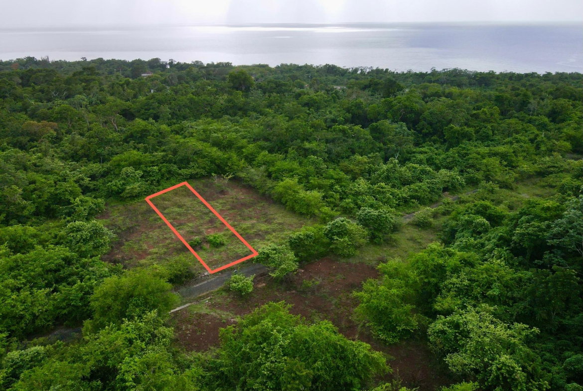 First image of 31 Cousins Cove Plantation in Cousins Cove, Hanover, Jamaica - property is For Sale