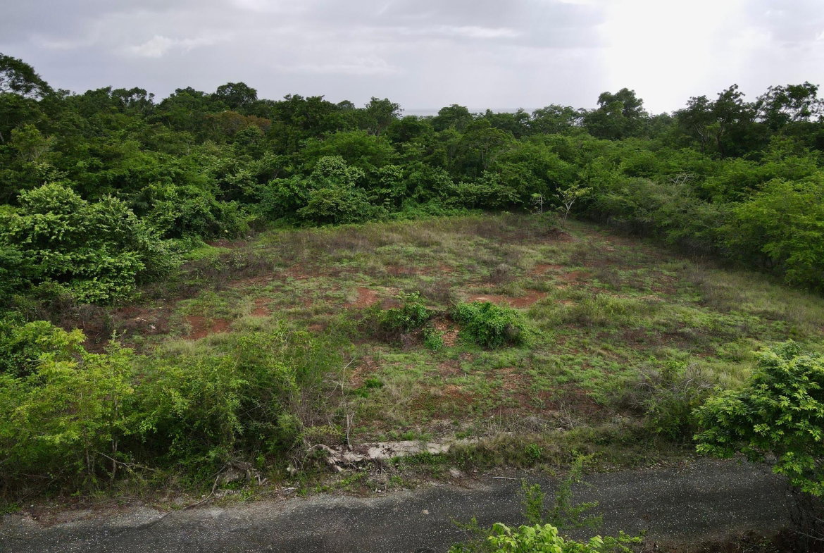 Third image of 31 Cousins Cove Plantation in Cousins Cove, Hanover, Jamaica - property is For Sale