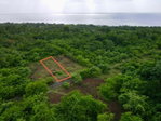 First image of 31 Cousins Cove Plantation in Cousins Cove, Hanover, Jamaica - property is For Sale