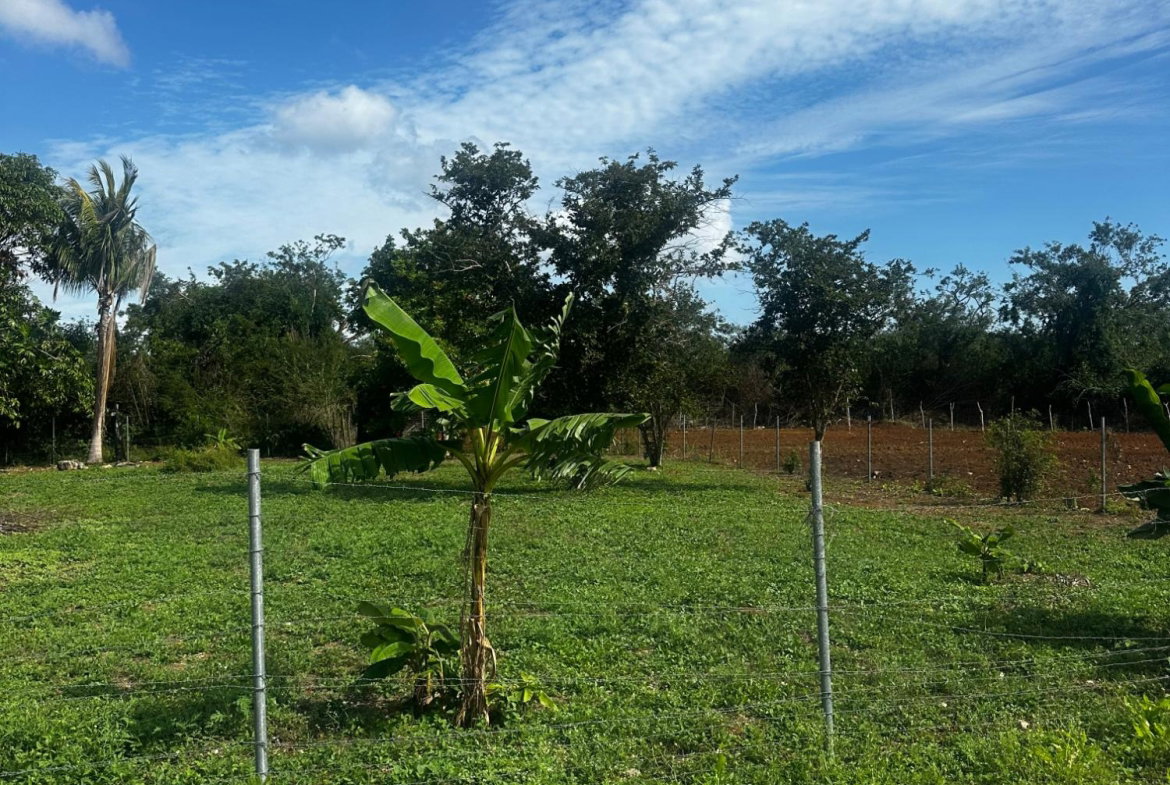 Third image of 33 Halse Hall in Halse Hall, Clarendon, Jamaica - property is For Sale