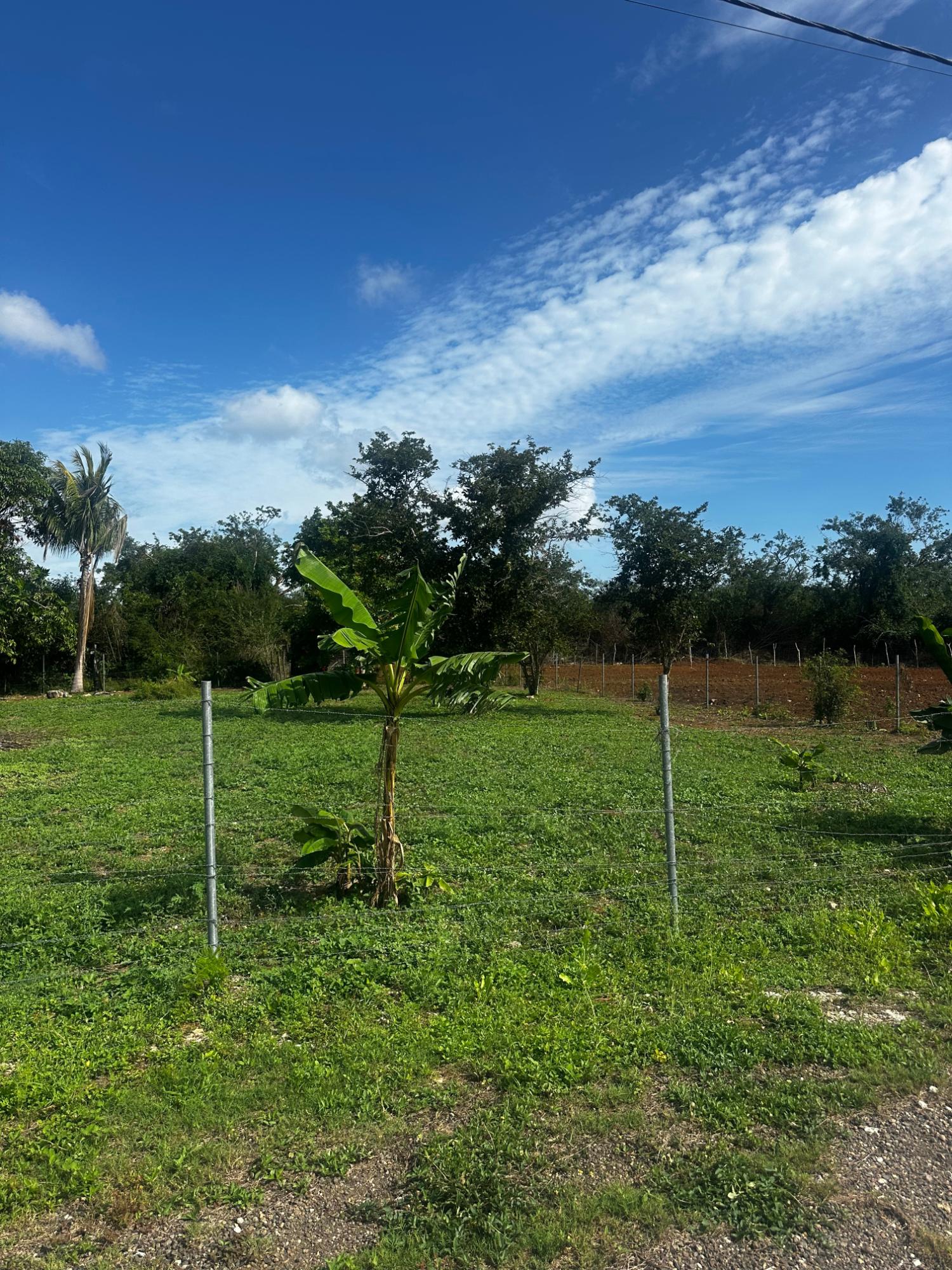 Third image of 33 Halse Hall in Halse Hall, Clarendon, Jamaica - property is For Sale