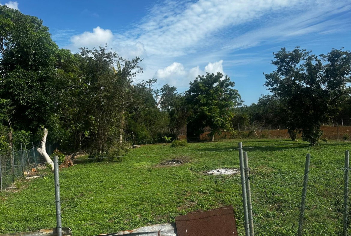 Fourth image of 33 Halse Hall in Halse Hall, Clarendon, Jamaica - property is For Sale