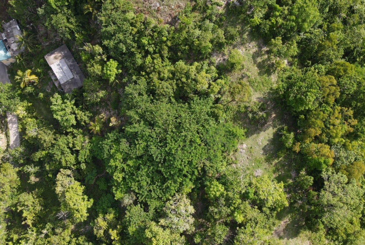 Second image of Round Hill Hopewell in Hopewell, Hanover, Jamaica - property is For Sale