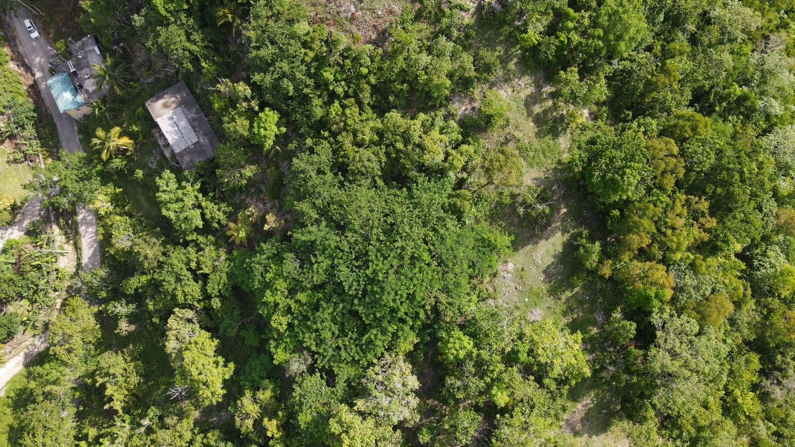 Second image of Round Hill Hopewell in Hopewell, Hanover, Jamaica - property is For Sale