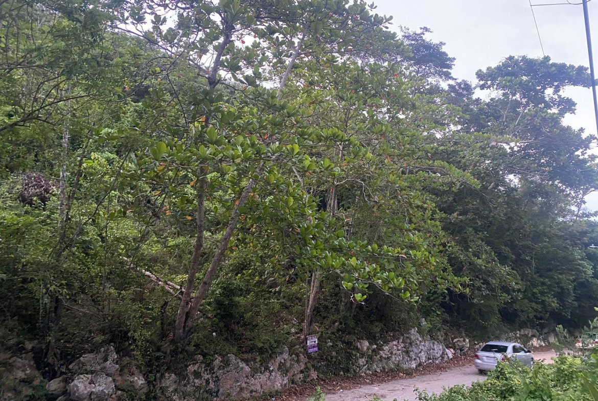 First image of Round Hill Hopewell in Hopewell, Hanover, Jamaica - property is For Sale