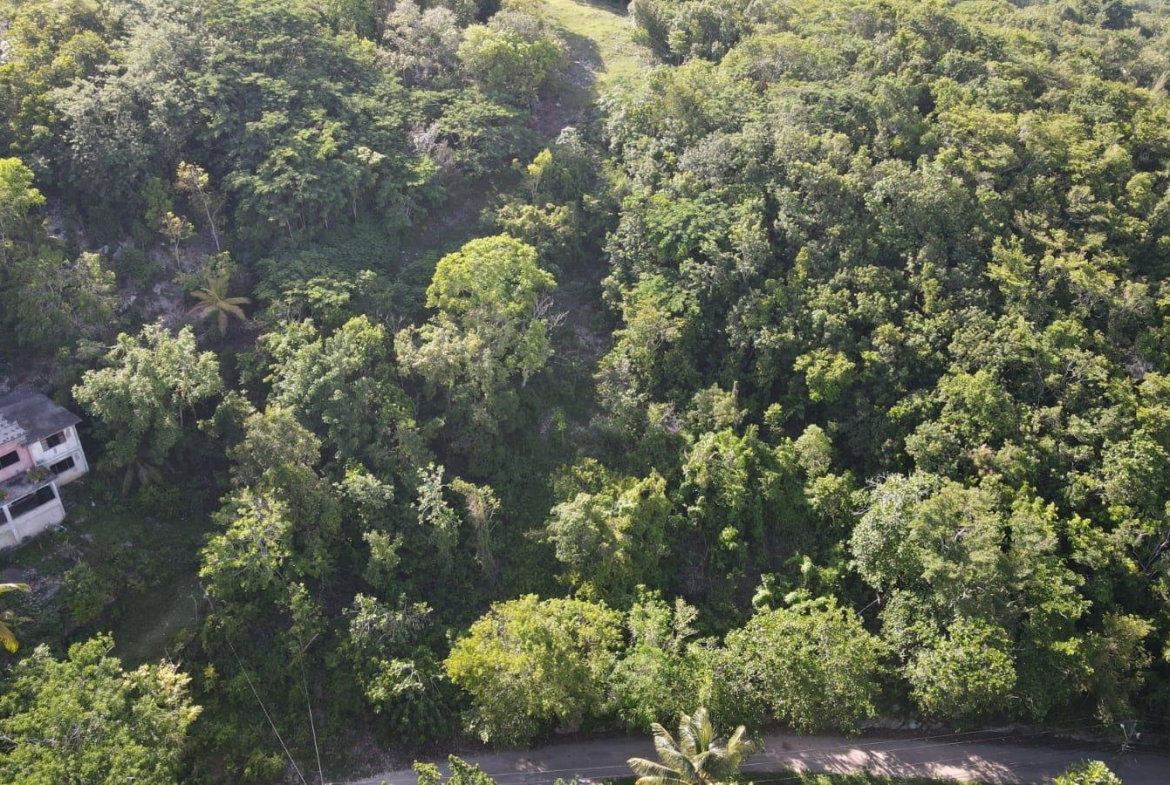 Third image of Round Hill Hopewell in Hopewell, Hanover, Jamaica - property is For Sale