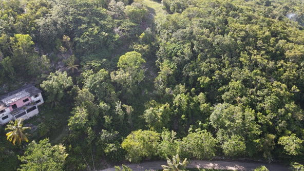 Third image of Round Hill Hopewell in Hopewell, Hanover, Jamaica - property is For Sale