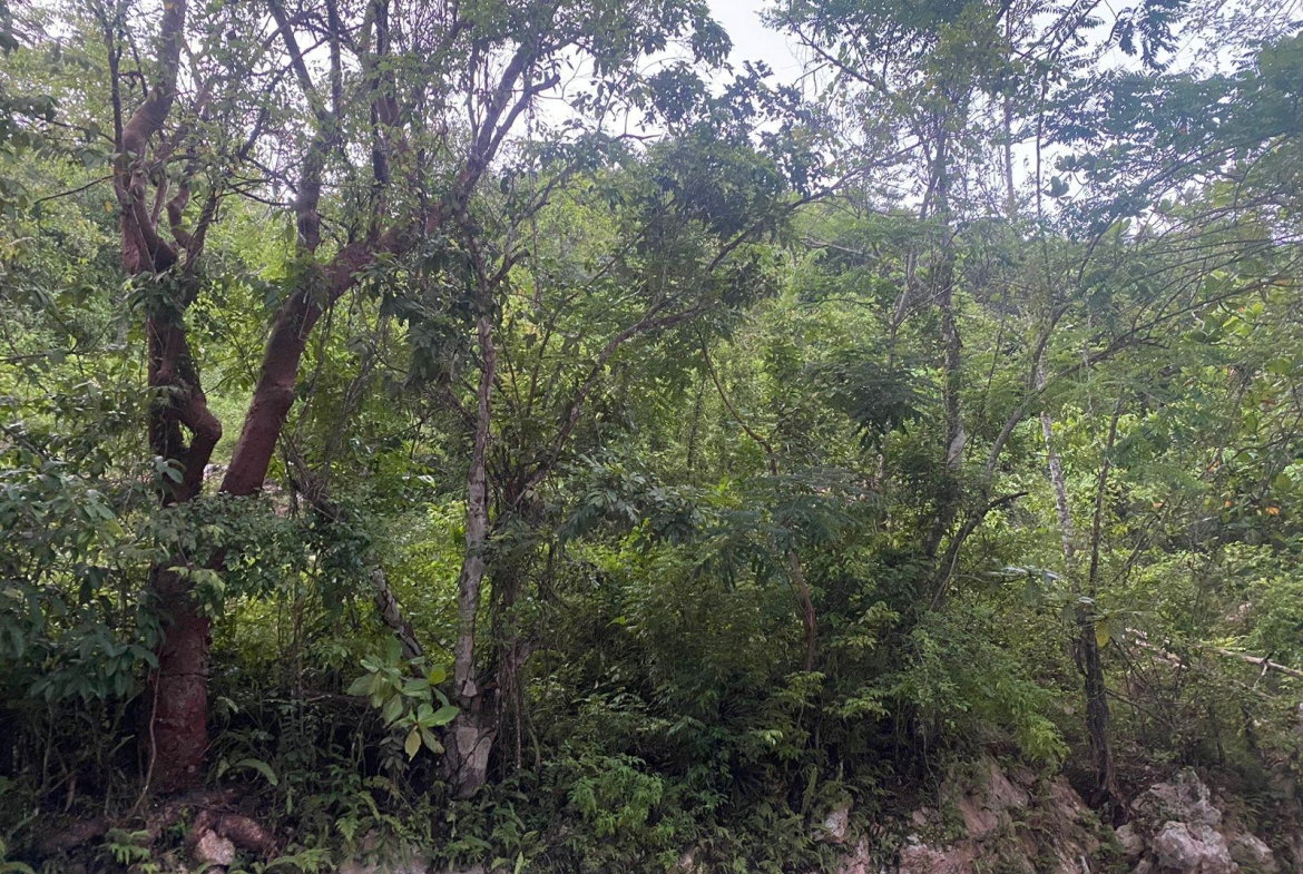 Fifth image of Round Hill Hopewell in Hopewell, Hanover, Jamaica - property is For Sale