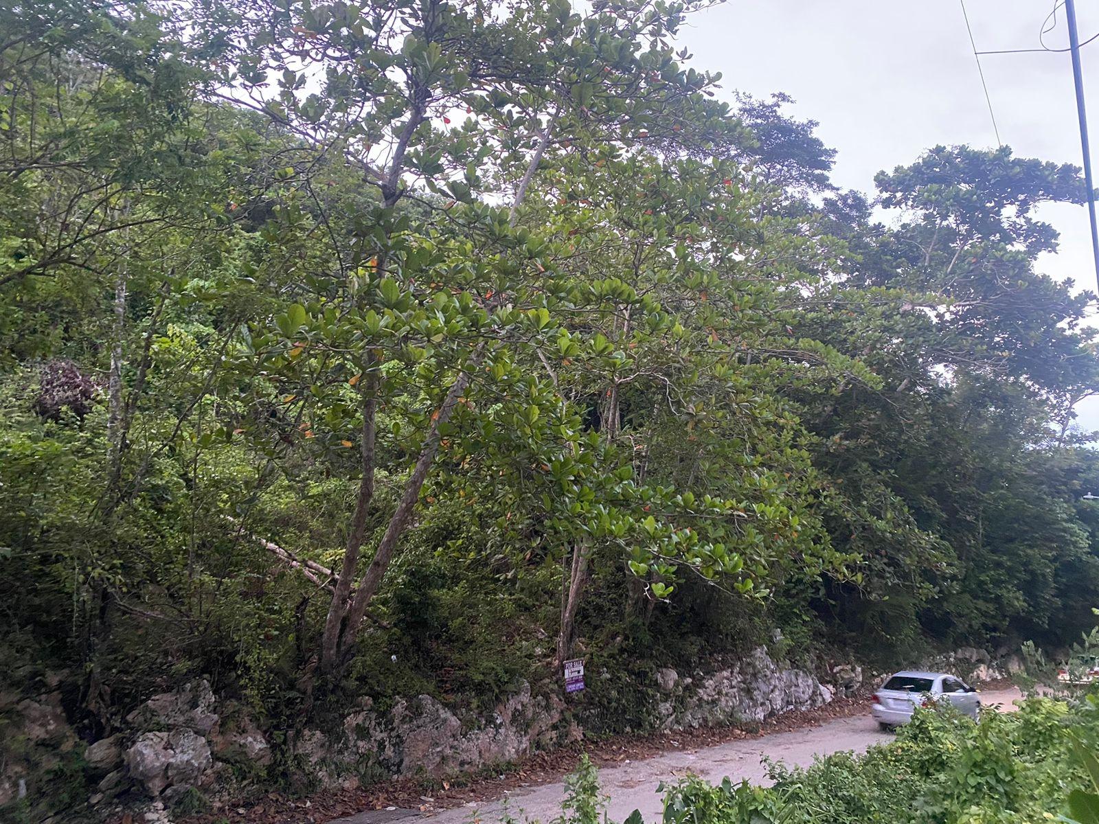 First image of Round Hill Hopewell in Hopewell, Hanover, Jamaica - property is For Sale