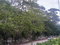 First image of Round Hill Hopewell in Hopewell, Hanover, Jamaica - property is For Sale