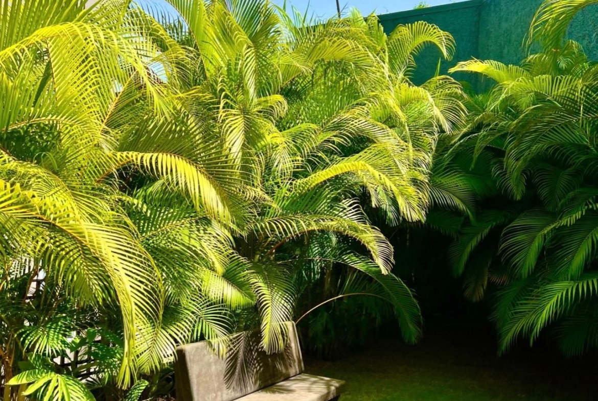 Twenty-Second image of 7-238 Mannings Hill Road in Kingston 9, St. Andrew, Jamaica - property is For Rent
