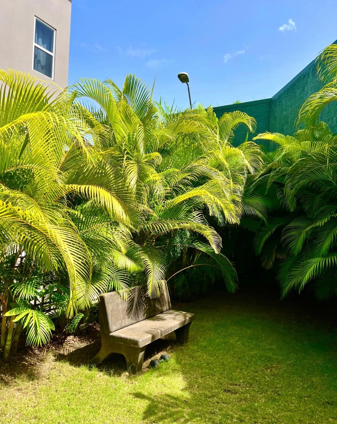 Twenty-Second image of 7-238 Mannings Hill Road in Kingston 9, St. Andrew, Jamaica - property is For Rent