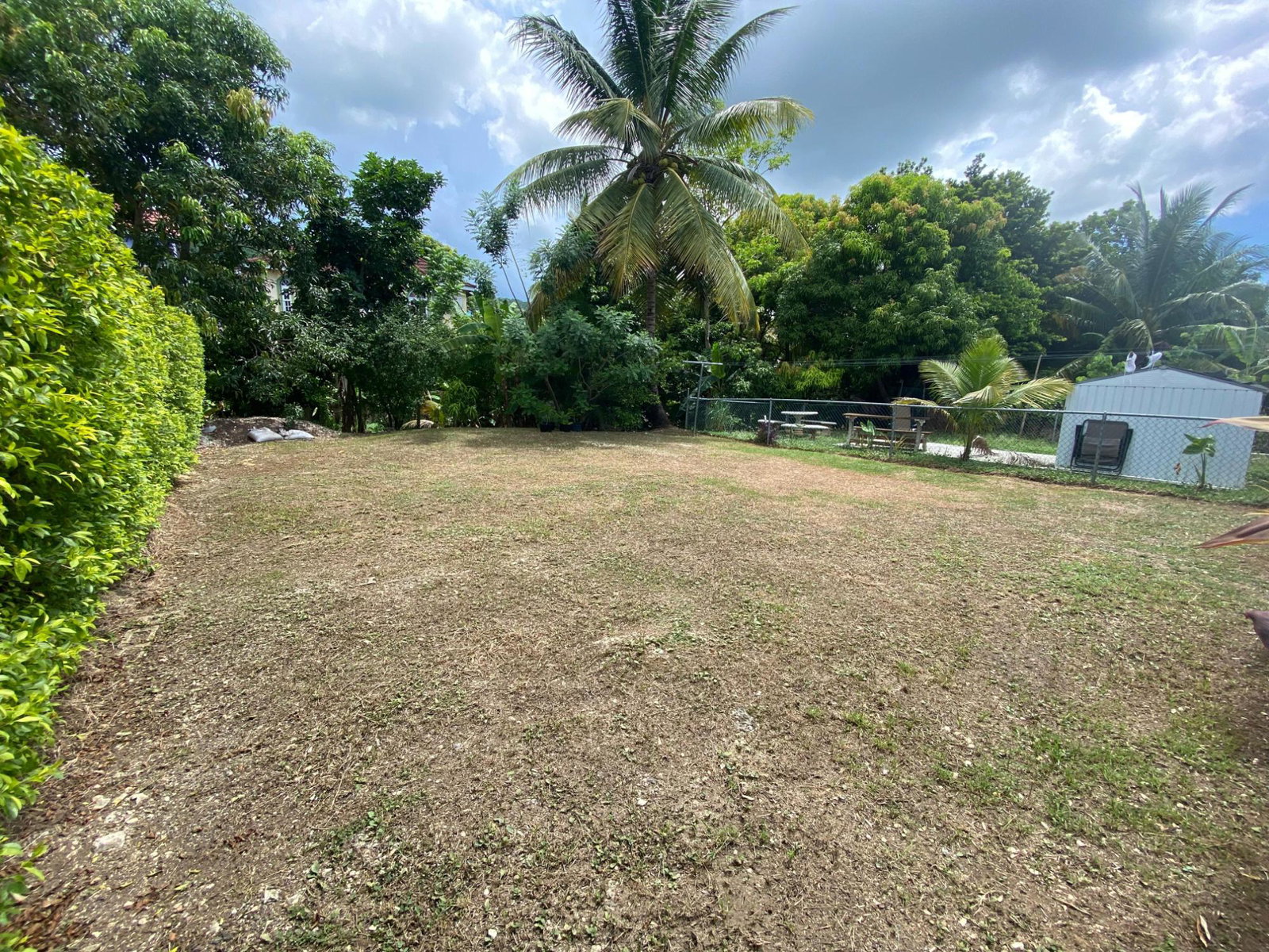 Fourteenth image of 396 Swordfish Place in Bogue Village, St. James, Jamaica - property is For Rent