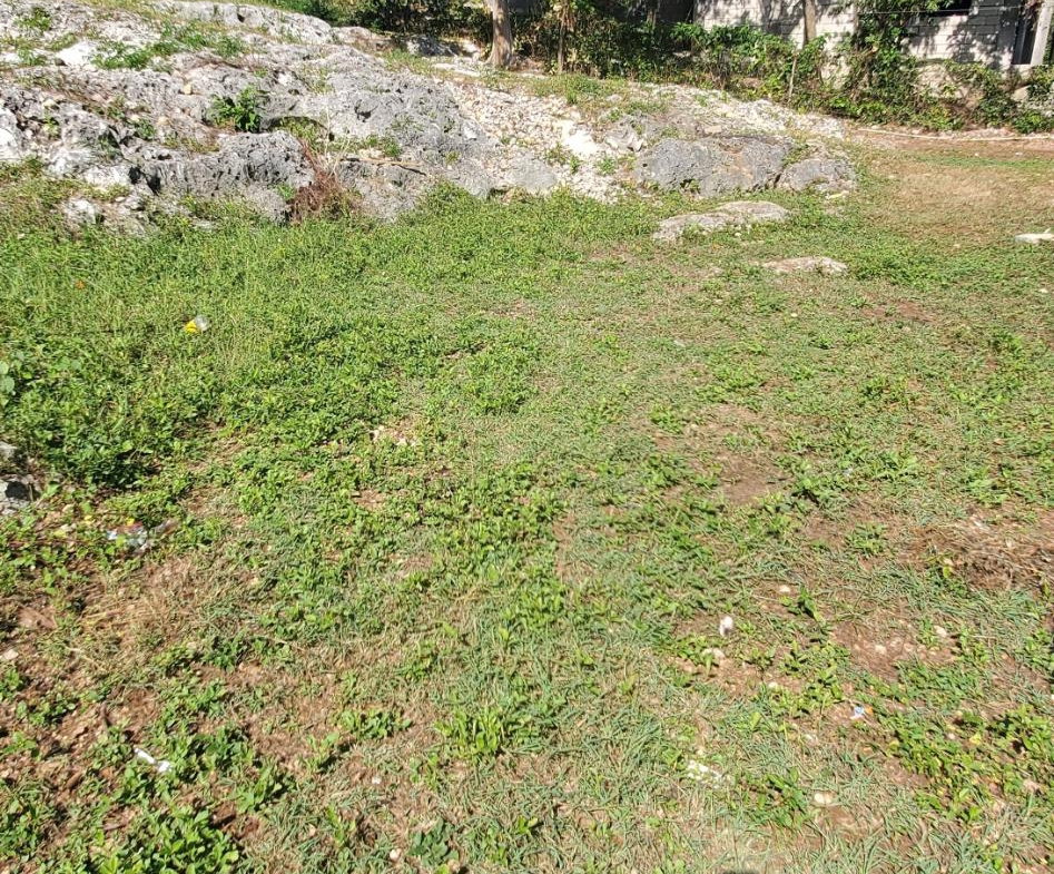 Third image of Denbigh in Denbigh, Clarendon, Jamaica - property is For Sale