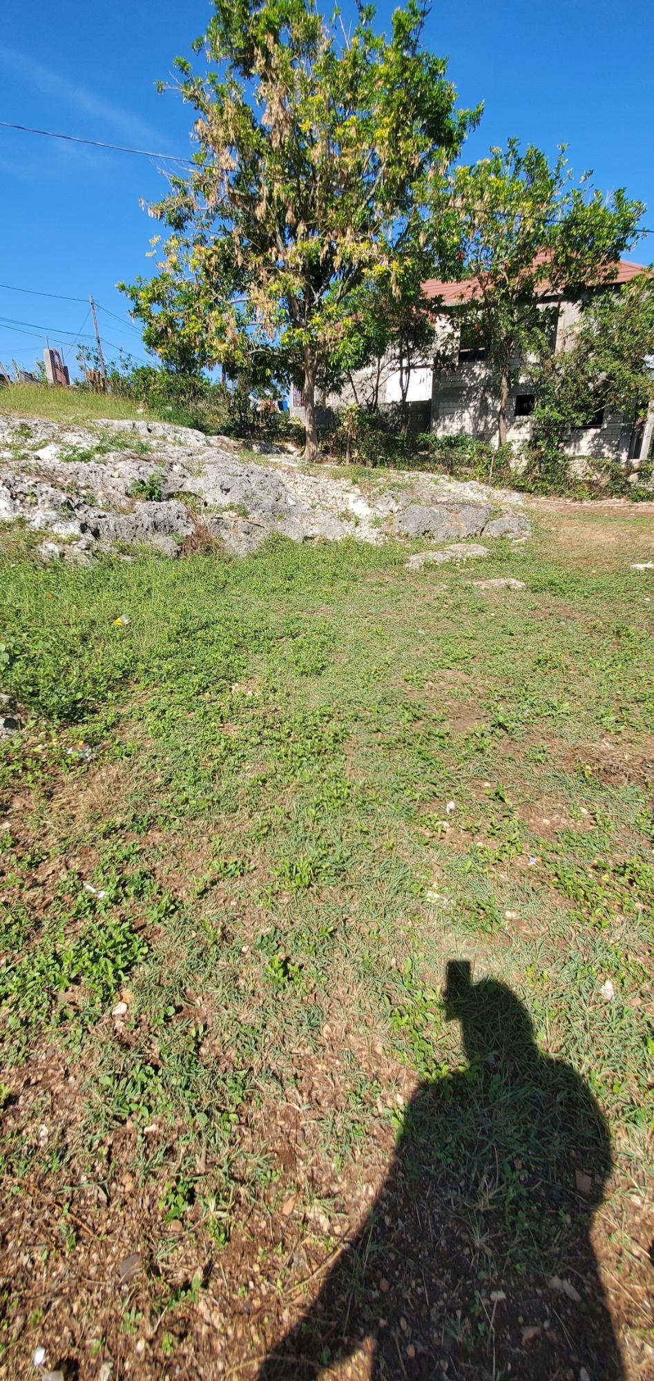 Third image of Denbigh in Denbigh, Clarendon, Jamaica - property is For Sale