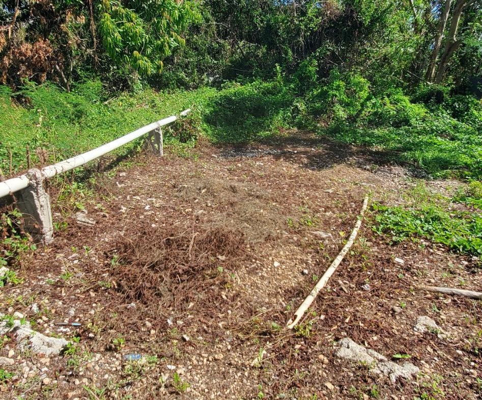 Fourth image of Denbigh in Denbigh, Clarendon, Jamaica - property is For Sale