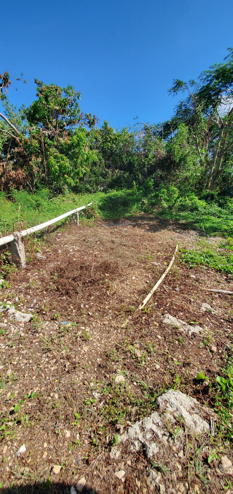 Fourth image of Denbigh in Denbigh, Clarendon, Jamaica - property is For Sale