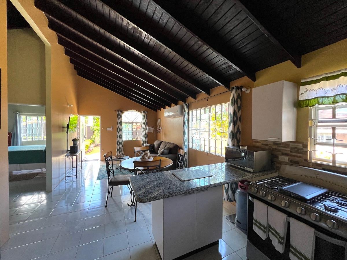 Thirteenth image of 459b South View Dr, Rhyne Park in Rose Hall, St. James, Jamaica - property is For Rent