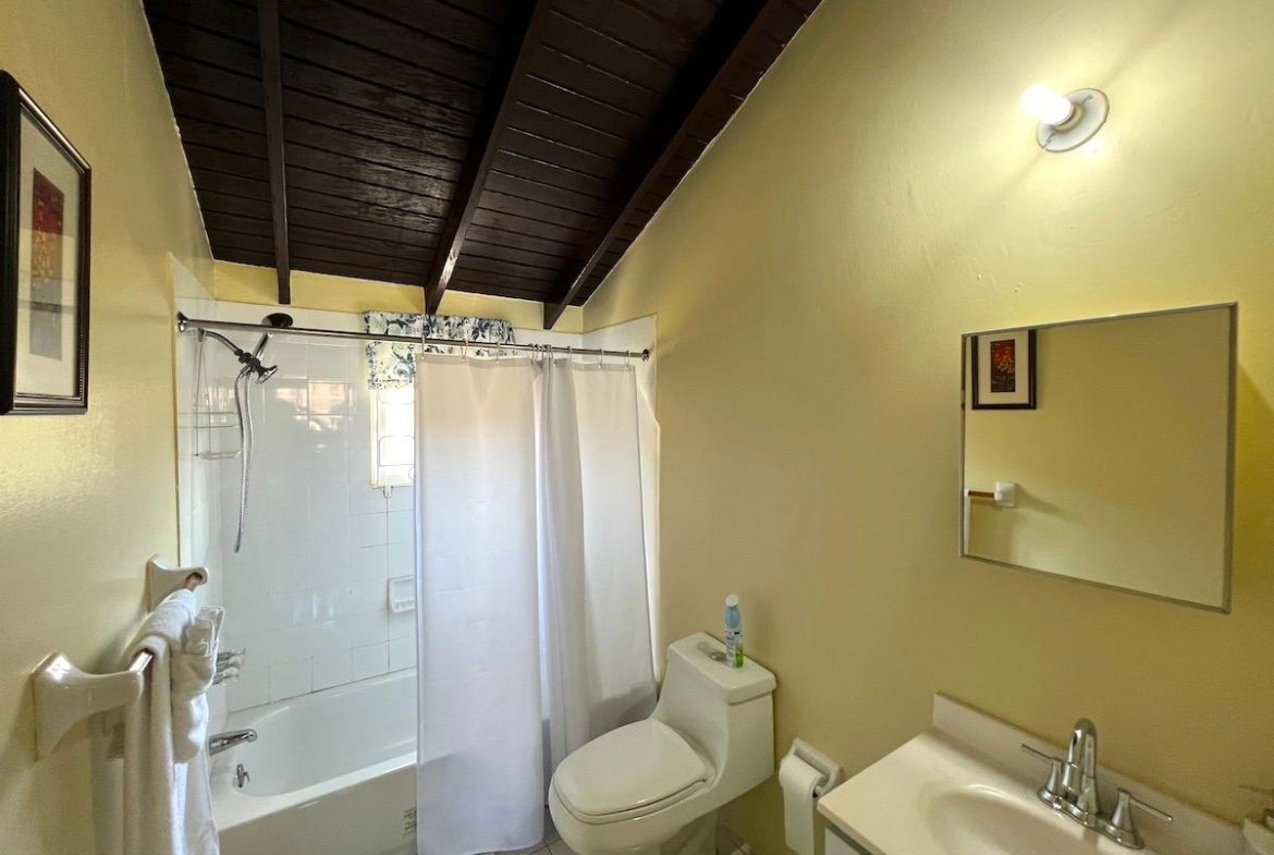 Tenth image of 459b South View Dr, Rhyne Park in Rose Hall, St. James, Jamaica - property is For Rent