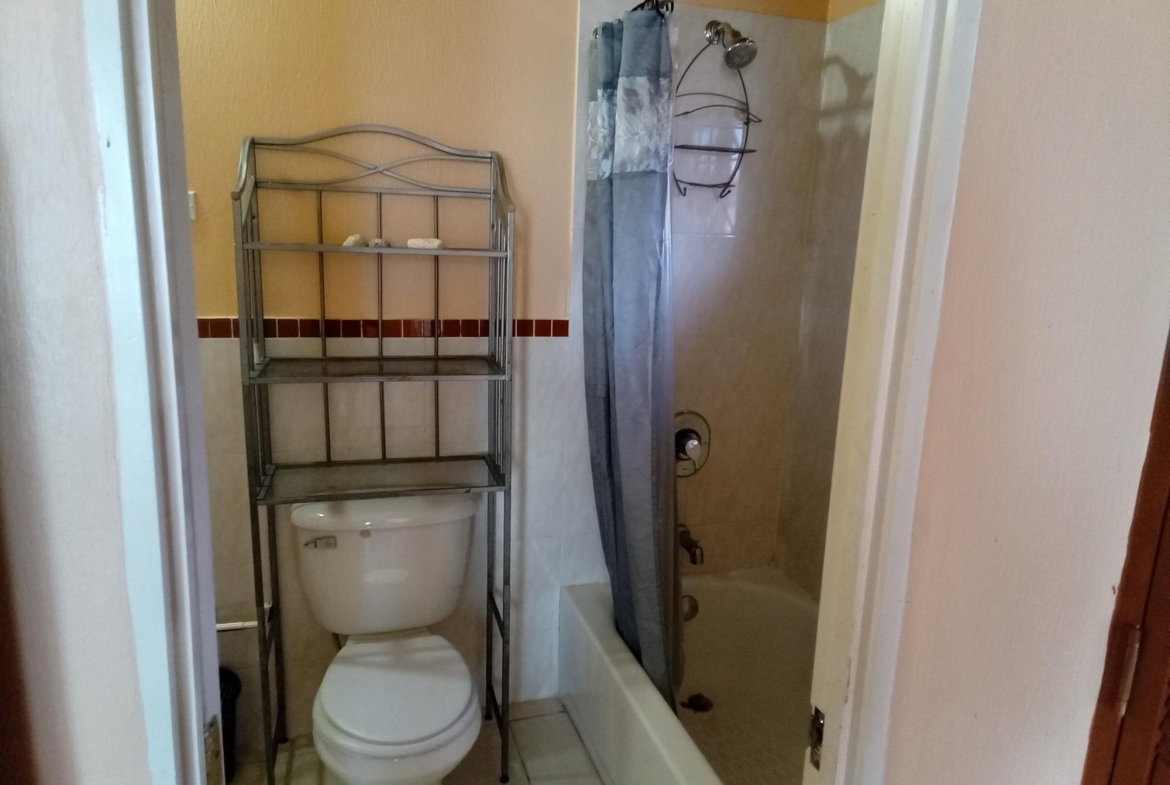 Fourteenth image of 740 Florence Hall, Trelawny in Falmouth, Trelawny, Jamaica - property is For Rent