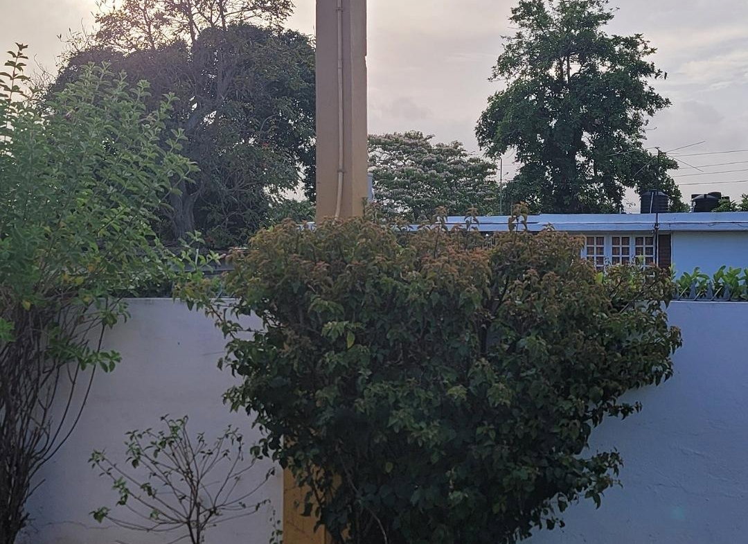 Second image of 6 Plumbago Path, Mona, King in Kingston 6, St. Andrew, Jamaica - property is For Rent