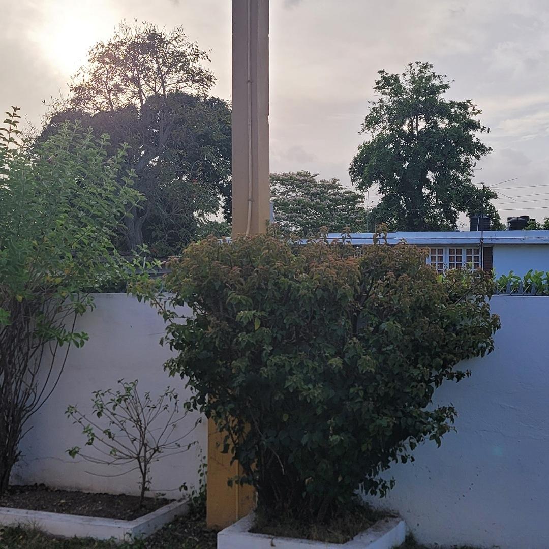 Second image of 6 Plumbago Path, Mona, King in Kingston 6, St. Andrew, Jamaica - property is For Rent