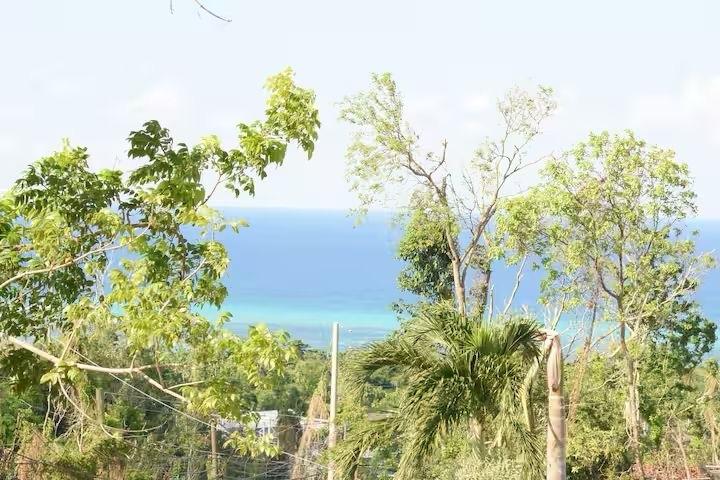 Second image of 1 Barrett Town, Little Rive in BARRETT TOWN, St. James, Jamaica - property is For Rent