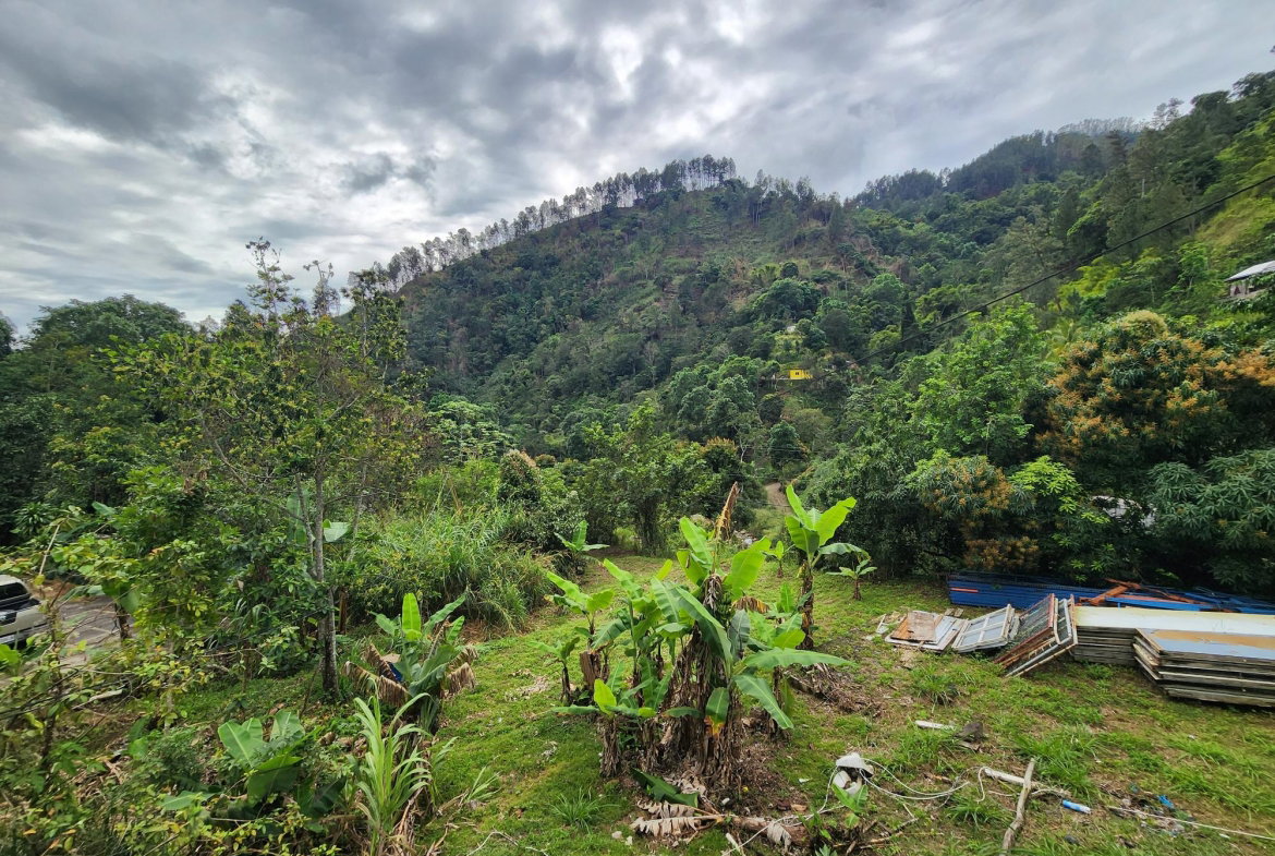 Fifteenth image of Guava Ridge Main Road in Mavis Bank P.O., St. Andrew, Jamaica - property is For Rent