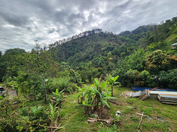 Fifteenth image of Guava Ridge Main Road in Mavis Bank P.O., St. Andrew, Jamaica - property is For Rent