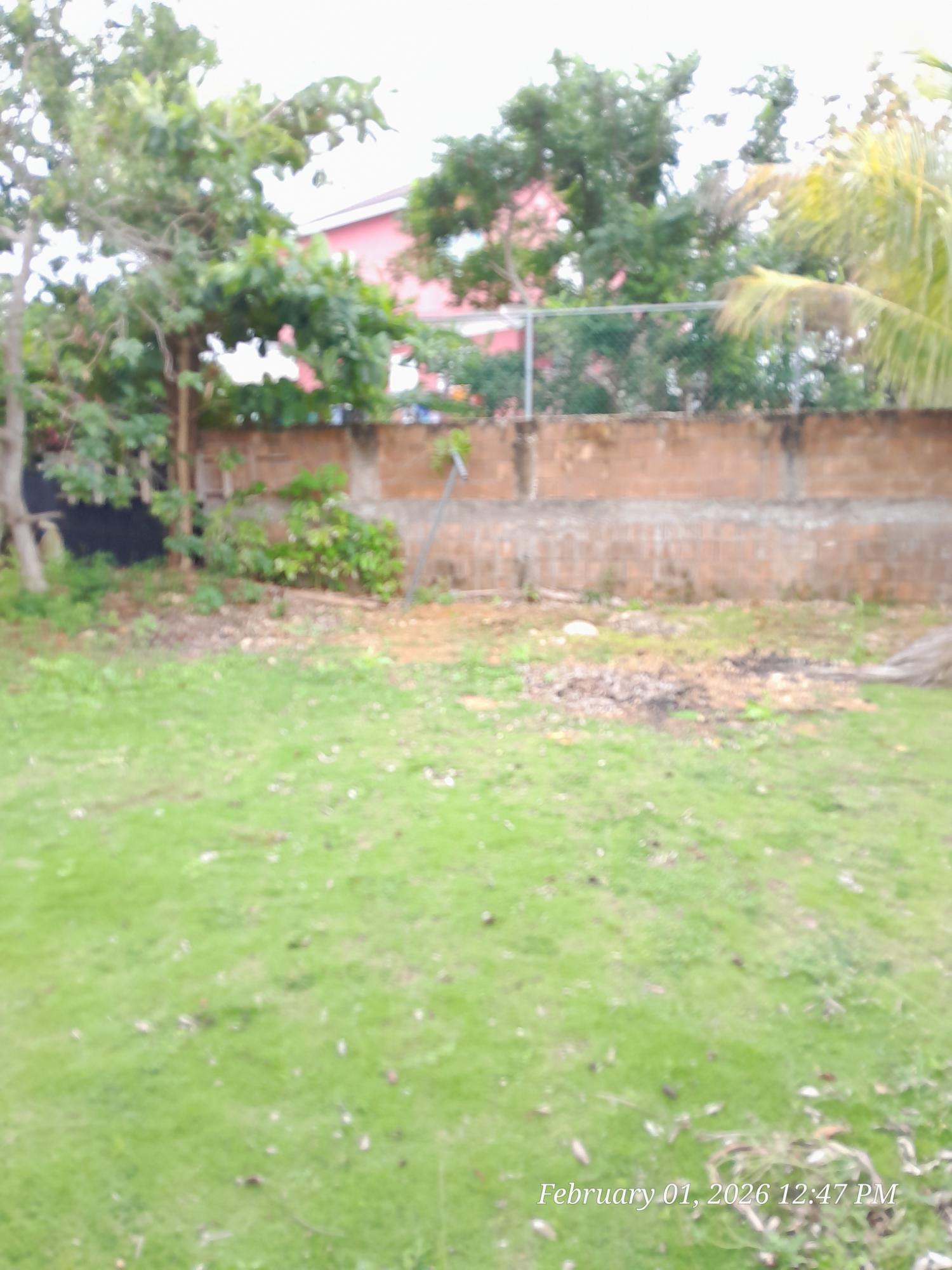 Furnished-2-Bedroom-Bungalow-for-Rent-in-Florence-Hall-Trelawny Ninth image of 448 Florence Hall Village, tr in Falmouth, Trelawny, Jamaica - property is For Rent