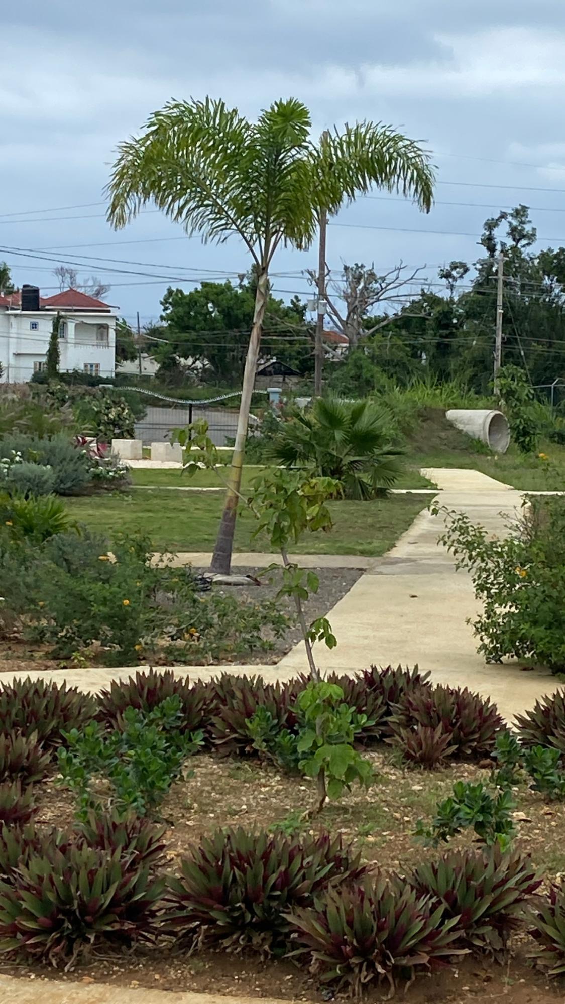 Furnished-2-Bedroom-House-for-Rent-in-Camelot-Village-Discovery-Bay-St.-Ann Twenty-Fourth image of 82- Camelot Village in Discovery Bay, St. Ann, Jamaica - property is For Rent