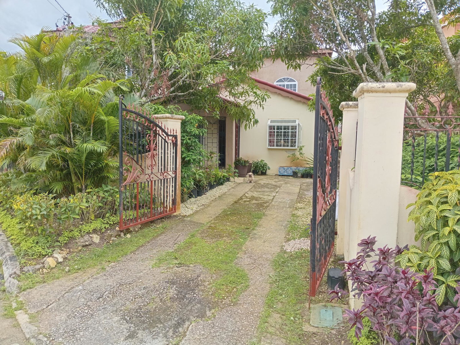 First image of 1534 Costal Place in Montego Bay, St. James, Jamaica - property is For Rent
