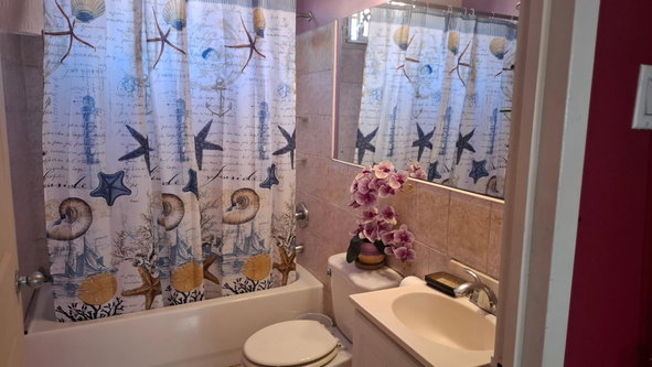 Seventh image of 19 Lorraine Drive in Cedar Manor, St. Catherine, Jamaica - property is For Rent