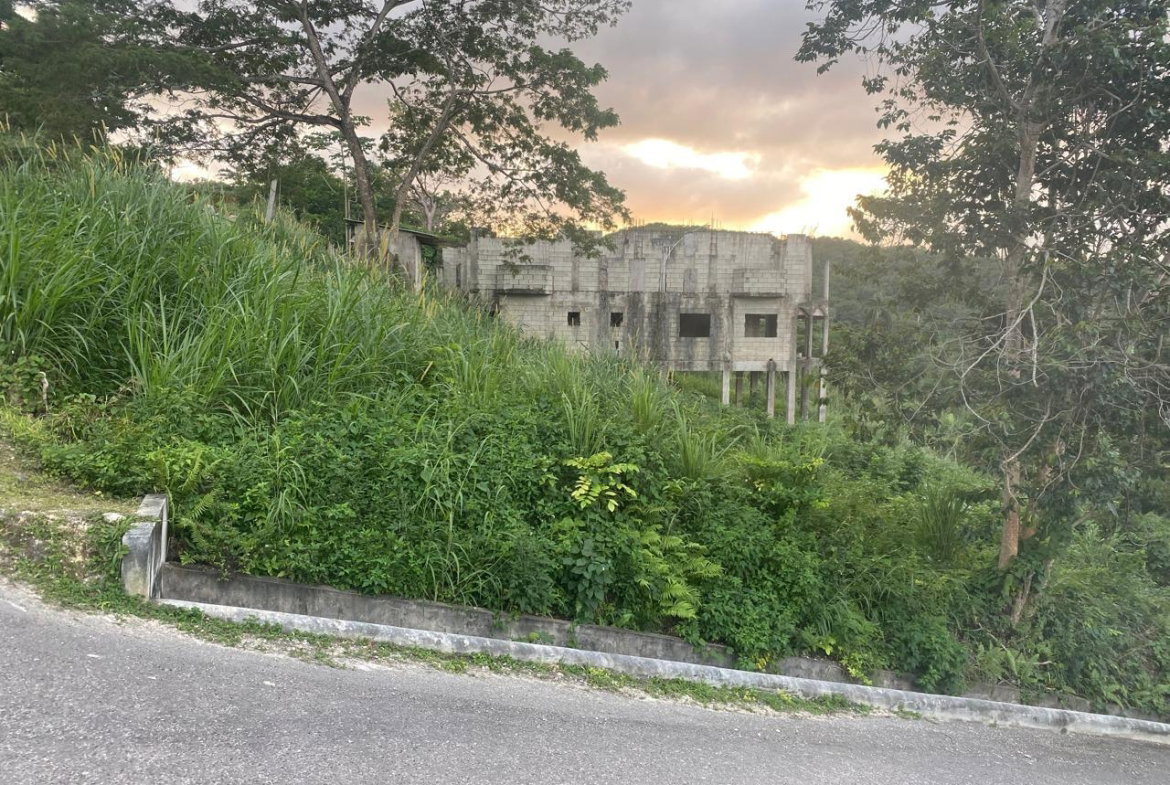 Fifth image of Lot 606- Hopewell Hanover in Hopewell, Hanover, Jamaica - property is For Sale