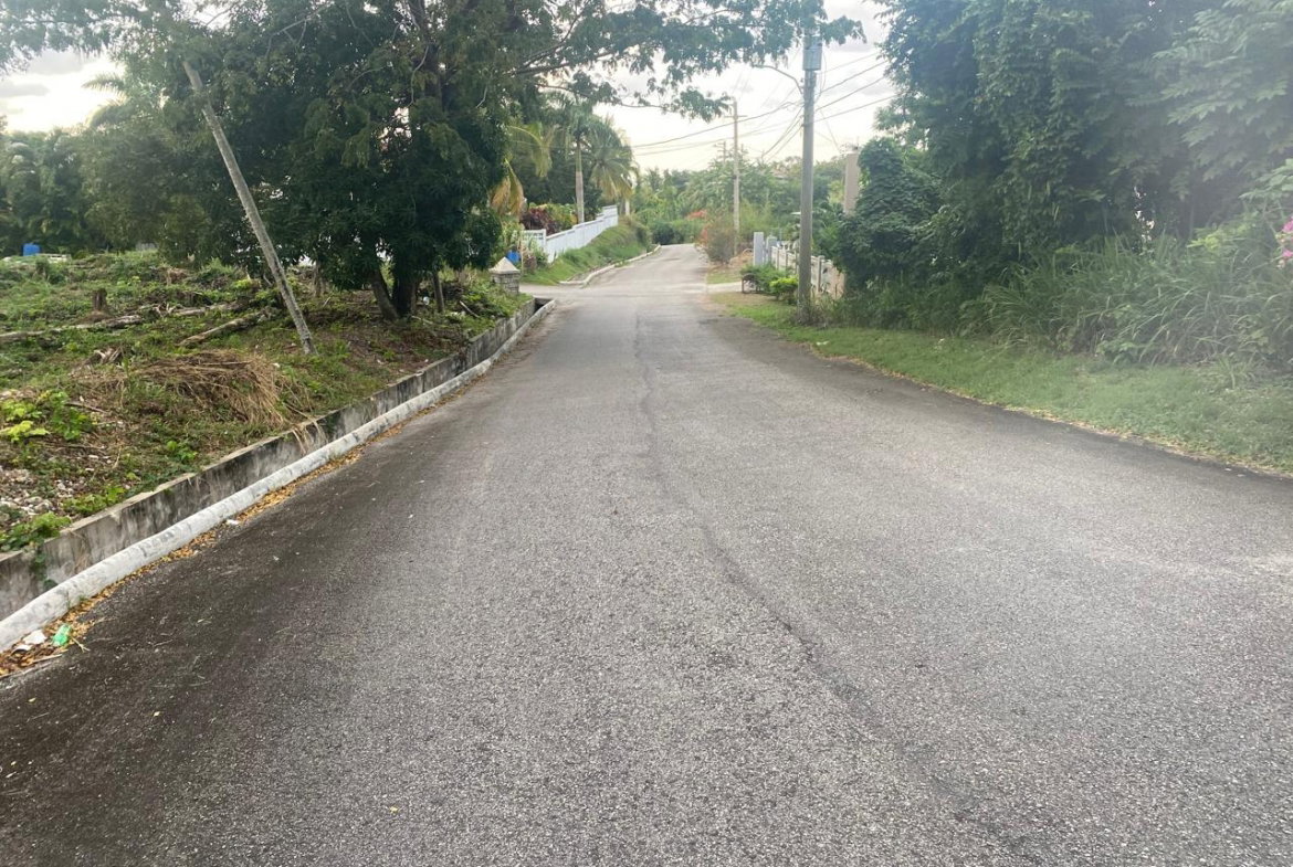 Seventh image of Lot 606- Hopewell Hanover in Hopewell, Hanover, Jamaica - property is For Sale