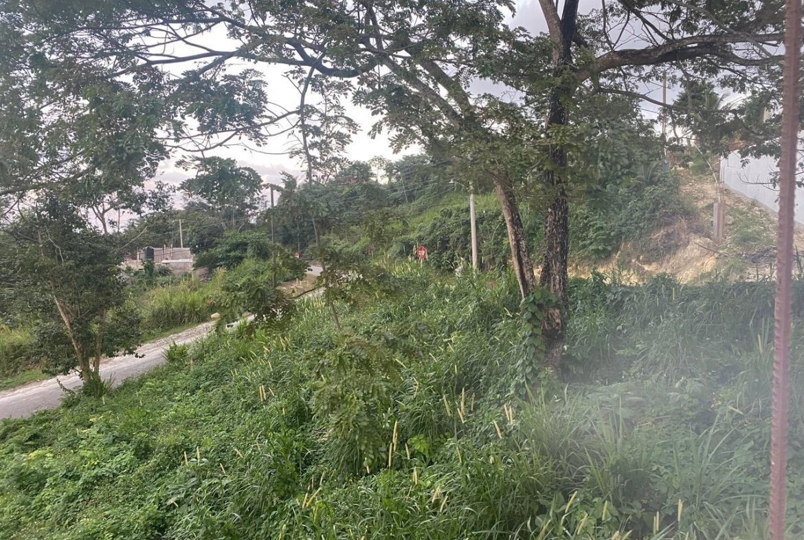 Eighth image of Lot 606- Hopewell Hanover in Hopewell, Hanover, Jamaica - property is For Sale