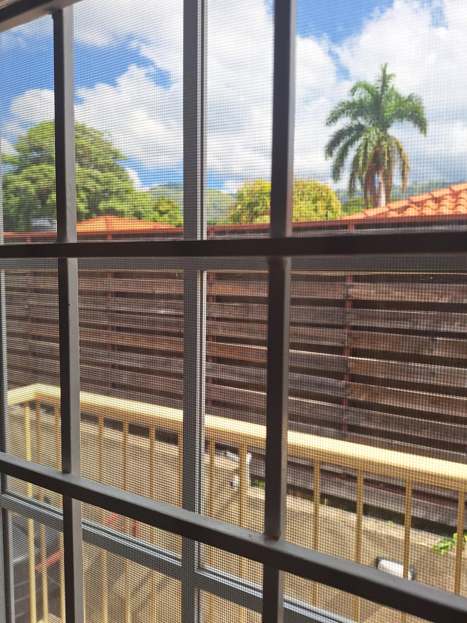 Fifteenth image of Apt 6-7 Charlemont Ave in Kingston 6, St. Andrew, Jamaica - property is For Rent